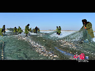 魚網(wǎng)の動きにそって多くの魚が元気よく氷の穴から跳ね出し、水しぶきが漁民の靴や上著、観光客の體、顔、カメラのレンズまで飛び散る。黒龍江省のドルボド?モンゴル族自治県では18日から冬の漁が始まり、漁民たちは伝統(tǒng)的な湖の神を祭る方法で平穏無事を祈る。