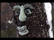 カナダ・フレデリックの近くで顔が装飾された木の上で休む1羽の鳥（1月3日）