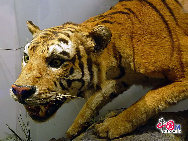 北京市にある国家動物博物館は、アジア最大の動物系統の分類や進化の研究センターで、研究レベルは非常に高く、最強の総合的実力を有している。