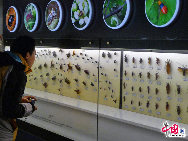 北京市にある国家動物博物館は、アジア最大の動物系統の分類や進化の研究センターで、研究レベルは非常に高く、最強の総合的実力を有している。展示のテーマは生物の多様性や人と自然の調和の取れた発展。