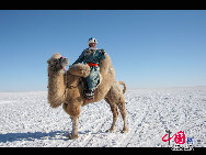 内蒙古自治区シリンゴル盟（錫林郭勒盟）の東北にある東鳥珠穆沁旗草原は、内蒙古では最大の広さを誇る草原で、保存状態も非常にいい。