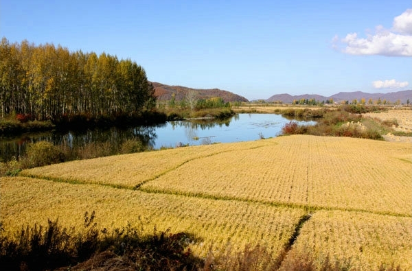 中国の「エコ食糧庫」になる黒竜江省