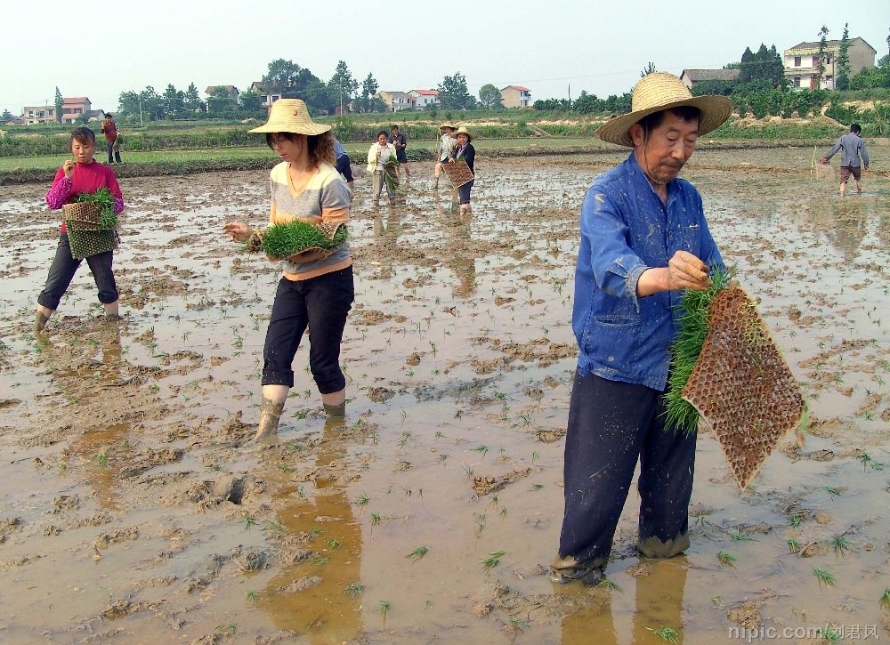 中国の農村人口が30年後4億人に減少か　専門家