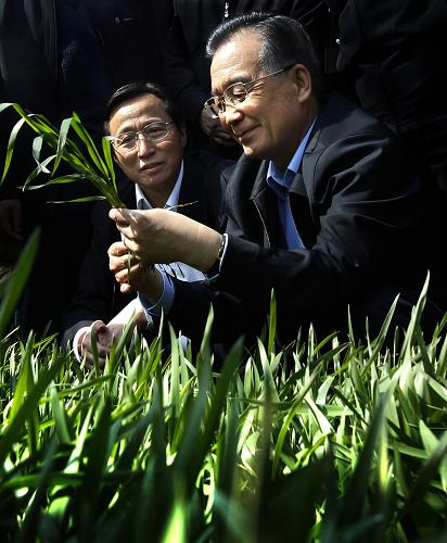 温総理：農業資材の価格が上昇すれば国が補助