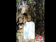 四川省成都にある望江楼公園は、竹をテーマにした園林景観区で、全国でも竹の種類が一番多い公園として知られている。