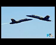 米海軍のブルーエンジェルス(Blue Angels)などの特技飛行隊は30日、ニューヨークのロングアイランド付近にあるジョーンズビーチ上空でエアショーを行い、5月の最終月曜日に定められた米国の祝日｢戦没将兵追悼記念日｣を記念した。　　｢中国網日本語版(チャイナネット)｣　2010/05/31