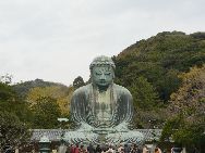 私にとって一番印象深いのは鶴岡八幡宮の表参道だ。車が行き交う道路の中央には桜の木が2列に植えられ、幅5メートルほどの歩道が作られている。並木の両側に掘られている2つの溝には、きれいな水が静かに流れ、ふと雲南省大理の市街と似ているような気がした。  