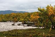 硫黄山の紅葉