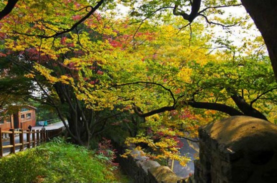 南山の紅葉