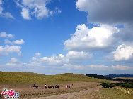 「木蘭の猟場」は中国清朝王室の猟場で、河北省東北部にあり内モンゴルの草原と接する。昔から水草が豊かで美しく、動物たちの生息地である。