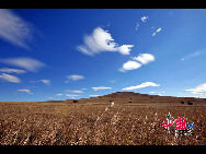 内蒙古ホロンバイル草原の秋
