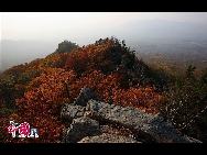 黒龍江省ハルビン市から東南に65キロ離れた場所にある松峰山は、広さ15.8平方キロで、秋になると紅葉が山を覆い、美しくて非常に壮観な景色が楽しめる。