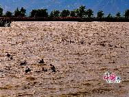 野鴨湖」は北京市延慶県の西北部に位置しており、北側には燕山の山脈が近くにあり、南側は太行山と接している。東南側には雄大な八達嶺長城があるという。「中国網日本語版（チャイナネット）」2010年11月3日