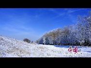 黒竜江省の大慶市では連日の雪で、美しい樹氷が発生した。木と草を銀色に飾った樹氷を見ていると、まるで童話の世界にやって来たかのようである。「中国網日本語版（チャイナネット）」2010年11月19日  