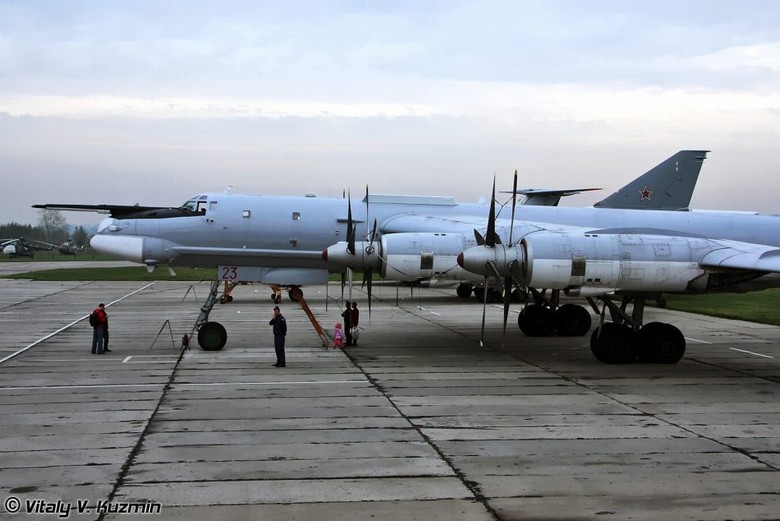 Tu-95(ツポレフ95；ロシア語:Tу-95トゥー・ヂヴィノースタ・ピャーチ)は、ソ連時代にツポレフ設計局によって開発された戦略爆撃機である。NATOコードネームは-95にベア(Bear：熊の意)。 「中国網日本語版（チャイナネット）」2011年1月19日