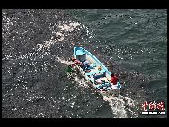 メキシコの名勝地であるアカプルコ（Acapulco）で11日、イワシやアンチョビー、スズキ、サバなど魚の大群が海岸に出現した。今まで、魚の大群が海岸に近づくことはほとんどなかったが、地元の漁民は、これは日本大地震による津波の影響で起きた現象だと見ている。｢中国網日本語版(チャイナネット)｣　2011年3月13日