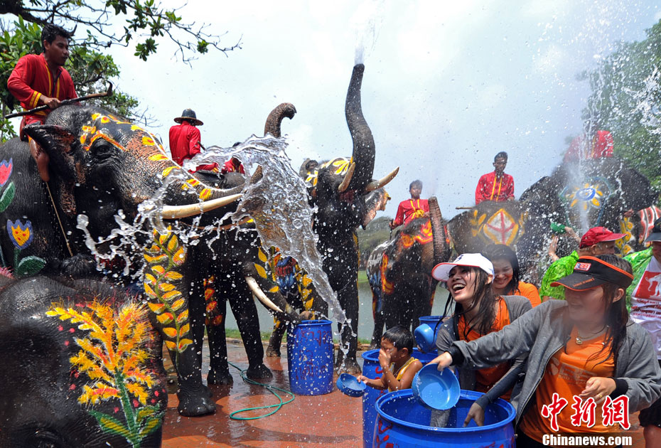 泰国宋干节 大象泼水让游客“湿身”