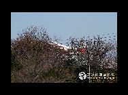 地震による津波を受け、日本航空自衛隊松島基地の28機の戦闘機が水に浸たり、大きなダメージを受けた。この中で、日本が新型対潜哨戒機XP-1(P-X)の実験を急いでいる。｢環球網｣が18日に伝えた。