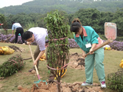 OSZ社員による植樹