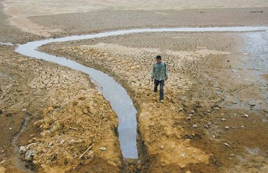 5月21日，武汉，梁子湖的一个支流已经基本干涸，江夏山坡乡的一位鱼塘主说，“以前鱼塘的水都是从这湖里抽取的，几十年没见过这个湖干成这样。”近日，江西、湖北等地出现干旱。弓月 摄