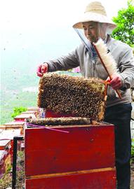 中國、三峽ダム後続事業に1239億元投入