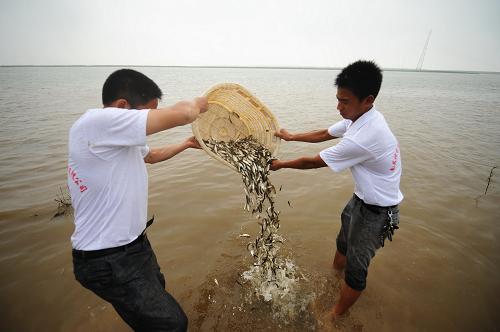长江中下游渔业资源修复放流鱼苗13亿尾[组图]