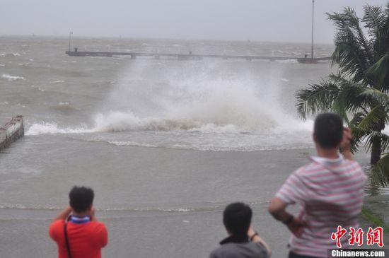海南省、台風8号による経済損失が約4億元