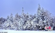 四季を通して非常な美しさを持つこの土地だが、特に冬の雪の花が舞う時期の美しさは格別だ。この土地の雪質に特別な原因があるのだろう、樹木の枝や葉に降り積もった雪は落ちずに積もり、独特な雪と松の景観を作り出す。