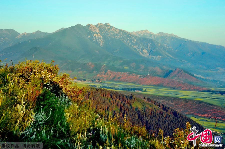  图为照壁山风景区中连绵起伏的山脉与生机勃勃的植物相互辉映。中国网图片库 冯军摄影