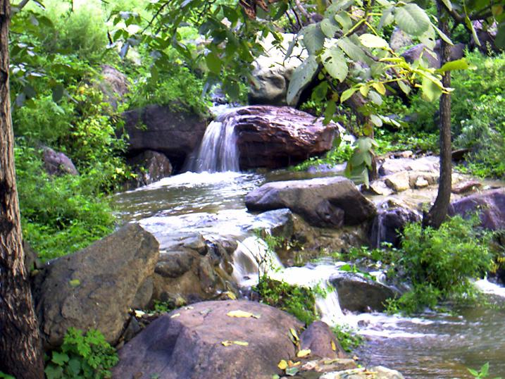 天盤山原始古林風(fēng)景區(qū)