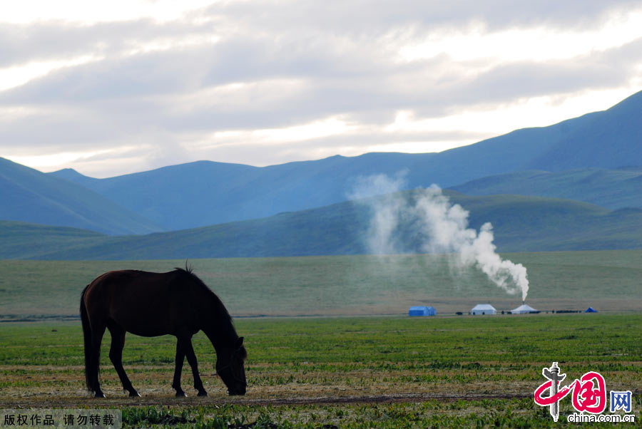 八月，一匹骏马在金马草原上吃草。远处飘散着的炊烟让一切显得更加安宁和谐。中国网图片库 孟勇摄影