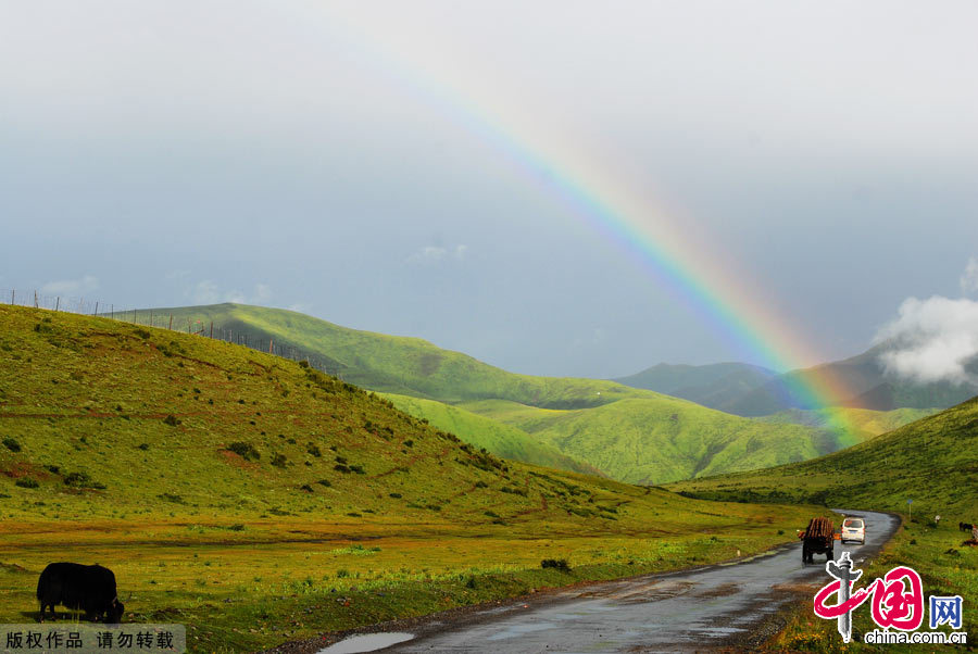 八月，金马草原出现了彩虹，一辆汽车行驶在柏油公路上，蜿蜒的公路纤尘不起，草原散发出让人如痴如醉的美。中国网图片库 孟勇摄影