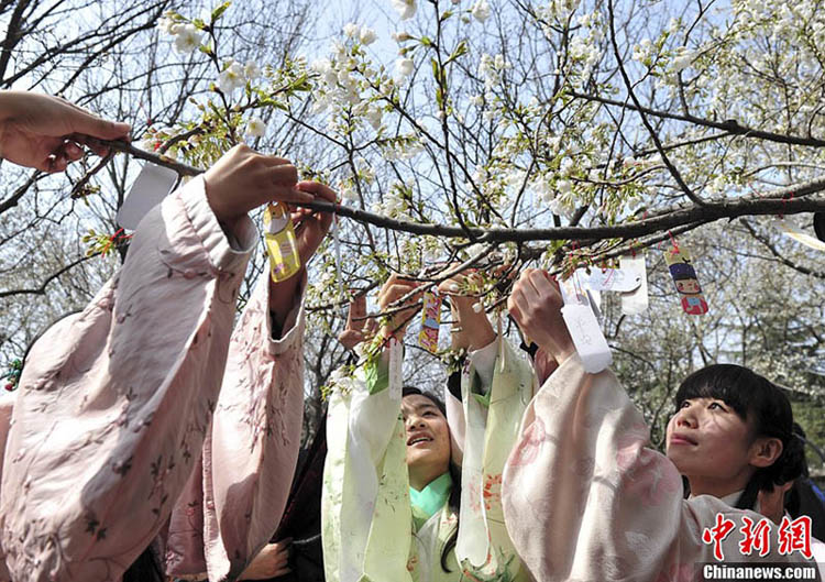 済南の桜祭