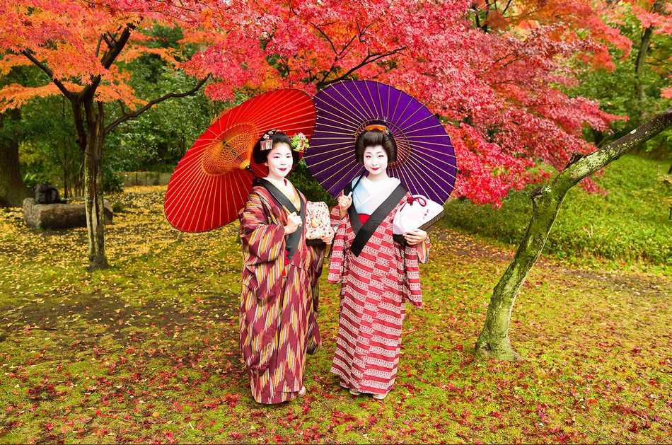 美の最高傑作　パキスタンカメラマンが写す艶やかな日本の芸妓