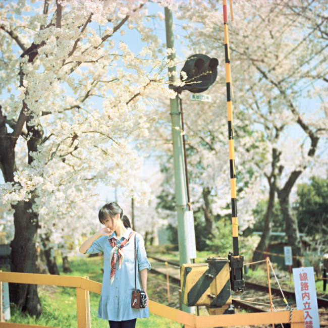 桜特集！桜のある優しい風景に癒される