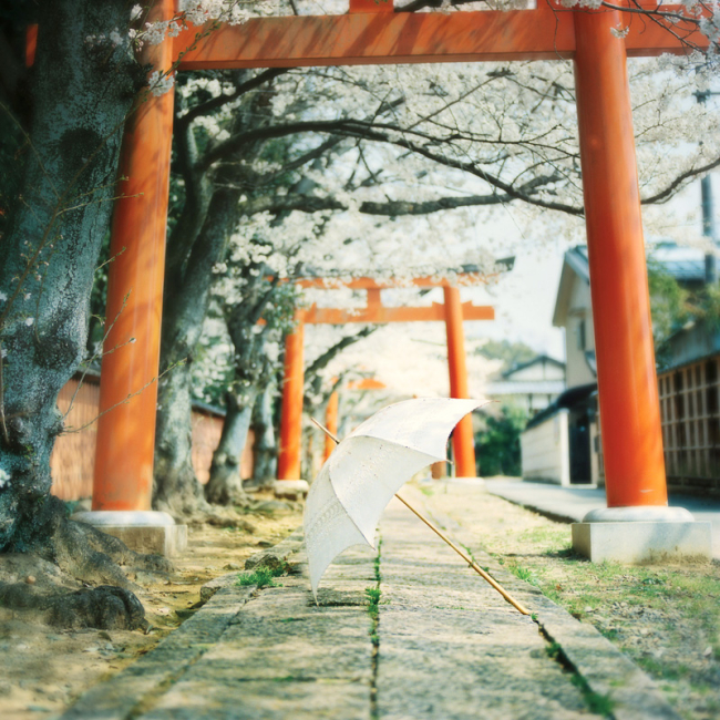 桜特集！桜のある優しい風景に癒される