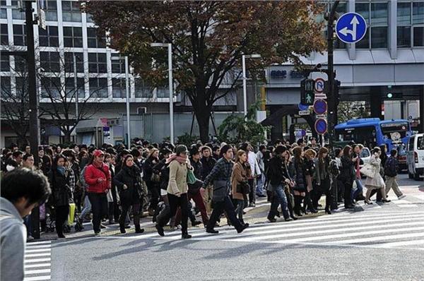 窥视真实日本 看平民百姓的另类生活(图)