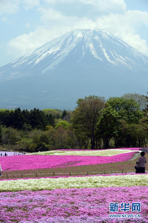 （国际）（4）富士山成为日本第17处世界遗产