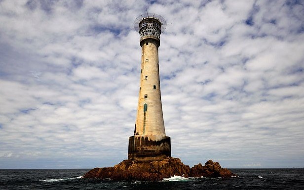 日本の猫島 端島 三宅島 世界の不思議な観光地 中国網 日本語