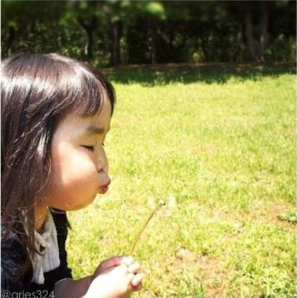 日本の4歳の「リアクション女王」Aries　新作が登場