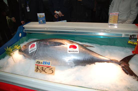 韓国、「日本産水産品の輸入を全面禁止」