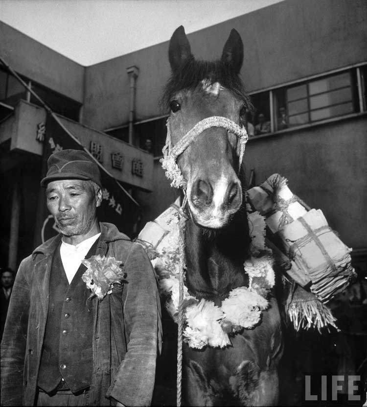 美拍52年战后重建中的日本