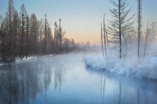 美しい雪景色