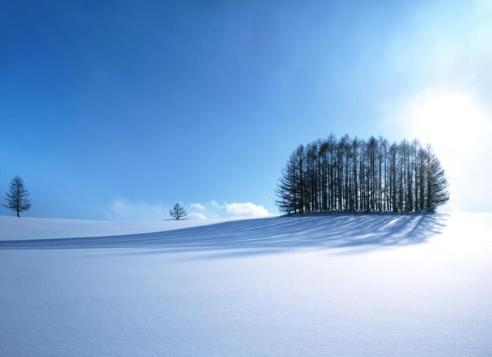 北海道の心癒される風景 世界各地の美しい雪景色 中国網 日本語