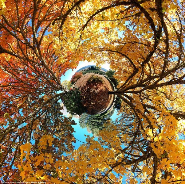 令人难以置信的全景图展现别样世界