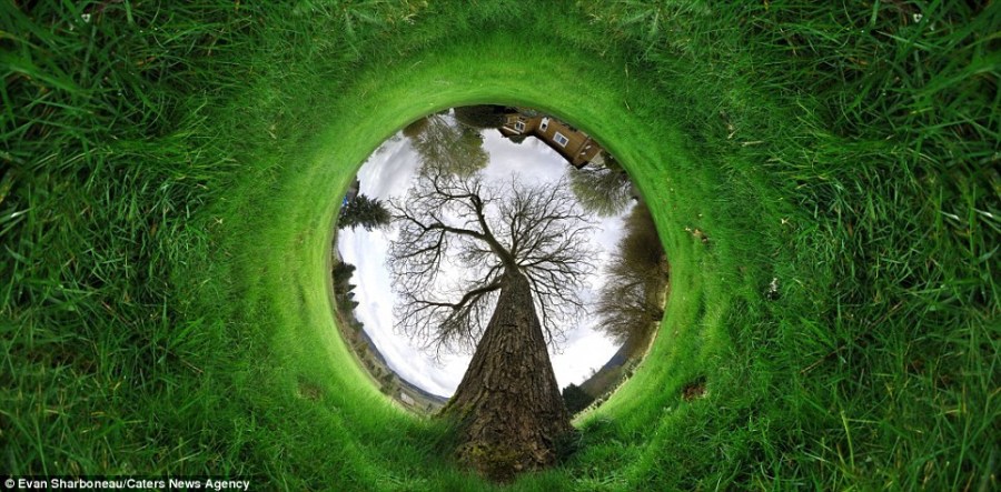 令人难以置信的全景图展现别样世界