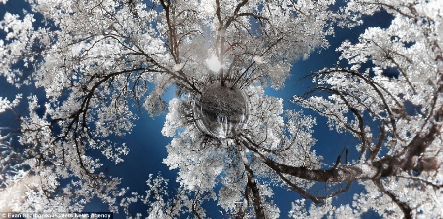 令人难以置信的全景图展现别样世界