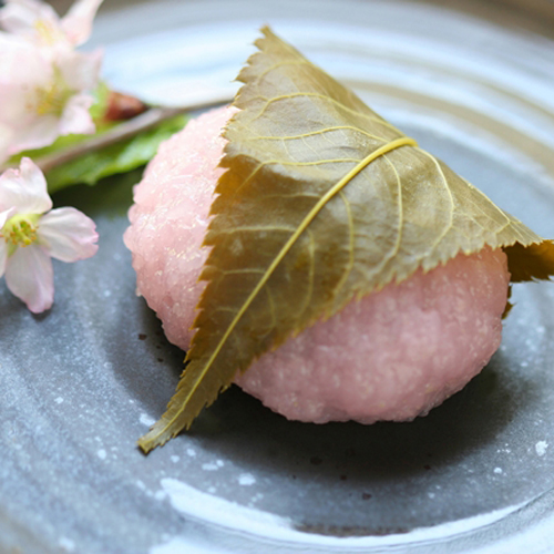 芸術品のような桜の和菓子 写真集 中国網 日本語