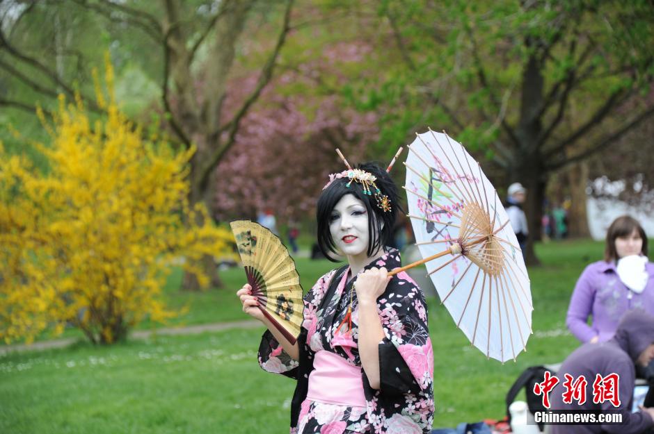 德国举行国际樱花节 “洋艺妓”亮相