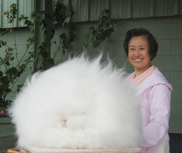 ウサギの毛 - ロングコート